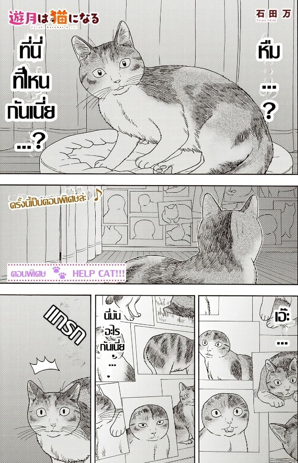 Manga-lc-com อ่านมังงะ อ่านการ์ตูน ออนไลน์ ฟรี Yuzuki Becomes A Cat ตอนที่ 1 2 3 4 5 6 7 8 9 10 11 12 13 14 ฟรี ไม่มีโฆษณา Manga-lc - อ่าน มังงะ อ่าน การ์ตูน ออนไลน์ อ่านมังงะ ฟรี