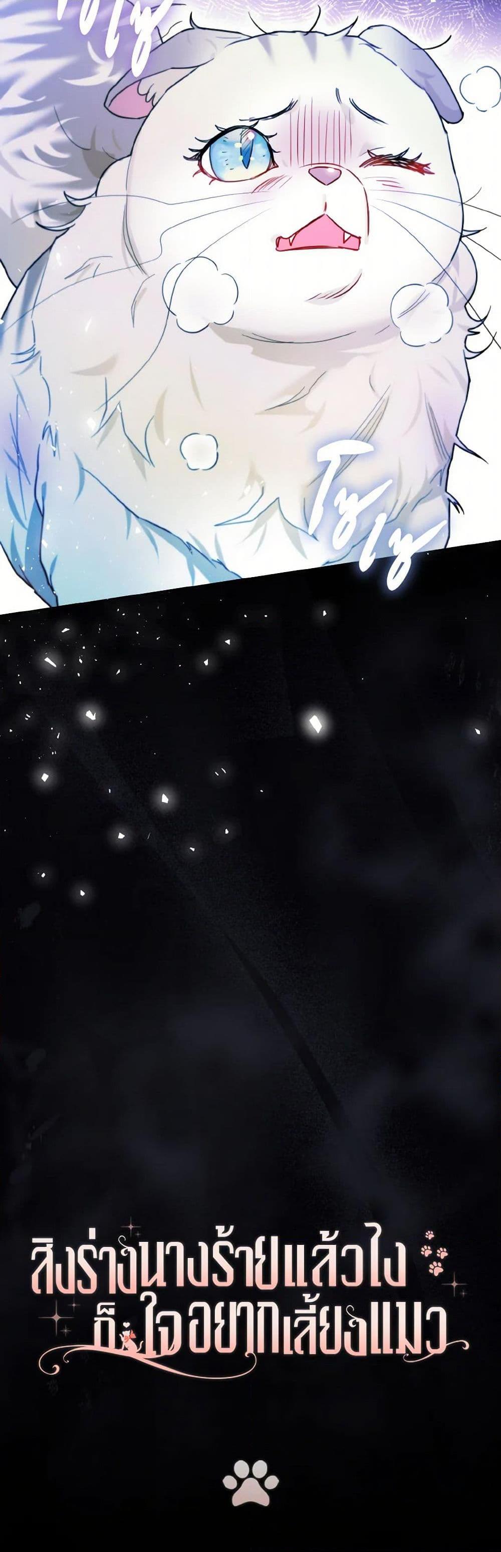 Manga-lc-com อ่านมังงะ อ่านการ์ตูน ออนไลน์ ฟรี I Possessed a Villainess, but I Wanna Raise Cats! ตอนที่ 1 2 3 4 5 6 7 8 9 10 11 12 13 14 ฟรี ไม่มีโฆษณา Manga-lc - อ่าน มังงะ อ่าน การ์ตูน ออนไลน์ อ่านมังงะ ฟรี