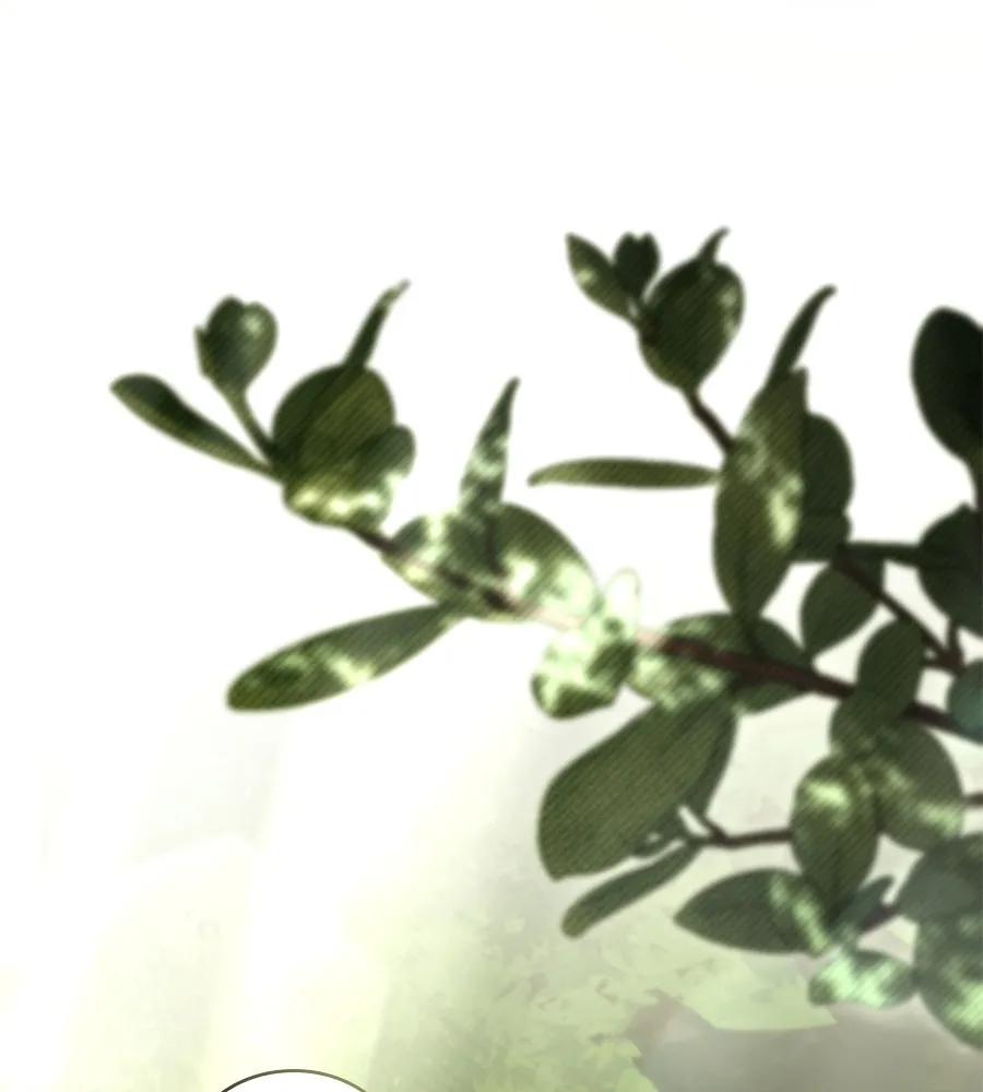 เล่ห์รักชนชั้นสูง ตอนที่ 60 รูปที่ 91