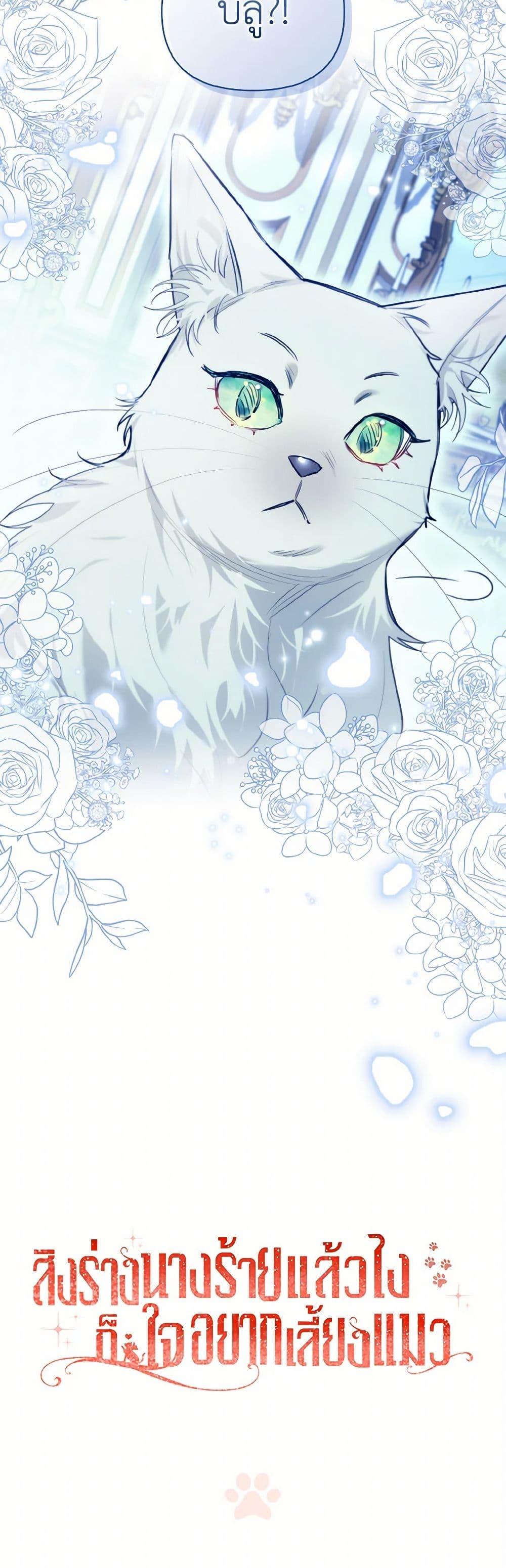 Manga-lc-com อ่านมังงะ อ่านการ์ตูน ออนไลน์ ฟรี I Possessed a Villainess, but I Wanna Raise Cats! ตอนที่ 1 2 3 4 5 6 7 8 9 10 11 12 13 14 ฟรี ไม่มีโฆษณา Manga-lc - อ่าน มังงะ อ่าน การ์ตูน ออนไลน์ อ่านมังงะ ฟรี