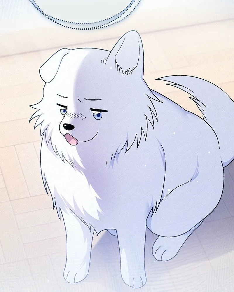 จุ๊บรัก คุณหมาป่า ตอนที่ 14 รูปที่ 109