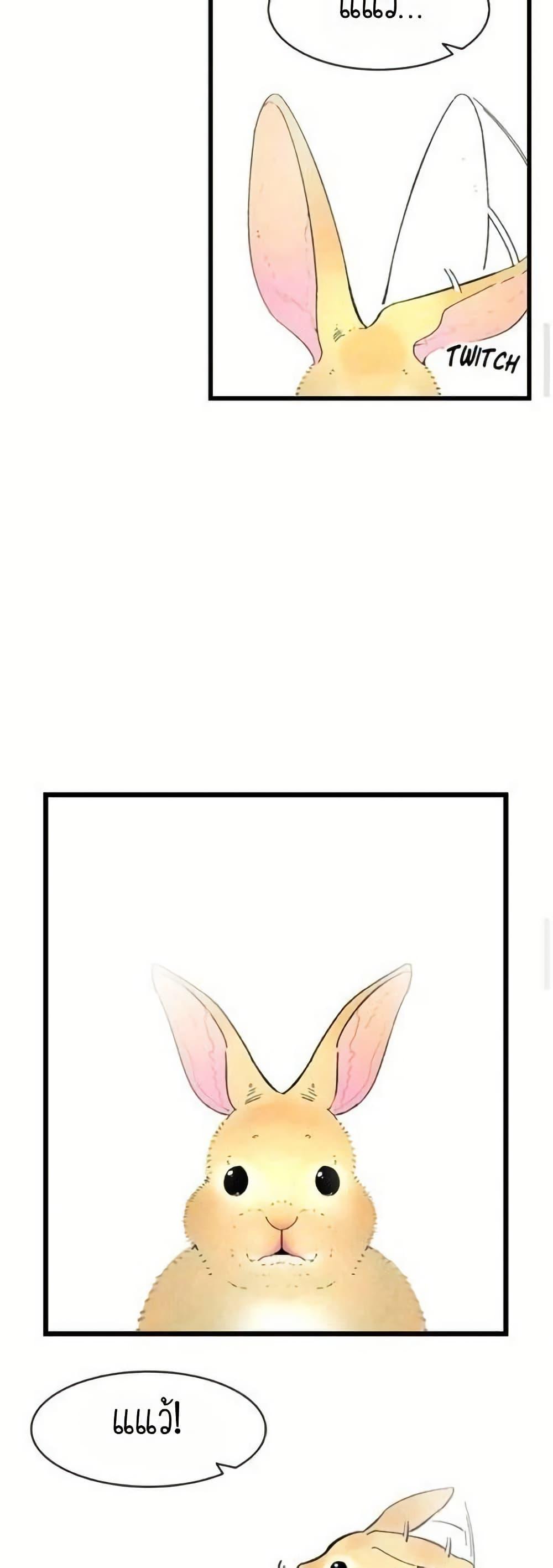 Manga-lc-com อ่านมังงะ อ่านการ์ตูน ออนไลน์ ฟรี The Skeleton Becomes a Cat Dad ตอนที่ 1 2 3 4 5 6 7 8 9 10 11 12 13 14 ฟรี ไม่มีโฆษณา Manga-lc - อ่าน มังงะ อ่าน การ์ตูน ออนไลน์ อ่านมังงะ ฟรี