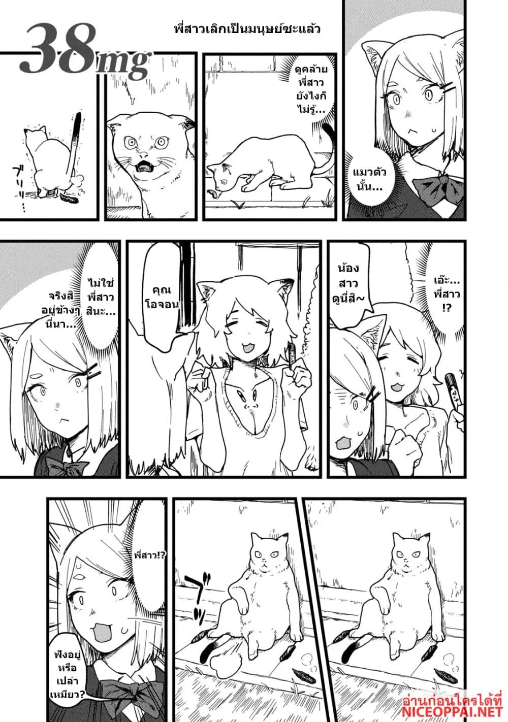 Manga-lc-com อ่านมังงะ อ่านการ์ตูน ออนไลน์ ฟรี Yani Neko ตอนที่ 1 2 3 4 5 6 7 8 9 10 11 12 13 14 ฟรี ไม่มีโฆษณา Manga-lc - อ่าน มังงะ อ่าน การ์ตูน ออนไลน์ อ่านมังงะ ฟรี