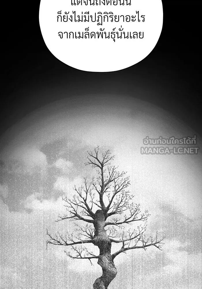 จอมเวทเกิดใหม่ในรอบ 66666 ปี ตอนที่ 130 รูปที่ 27