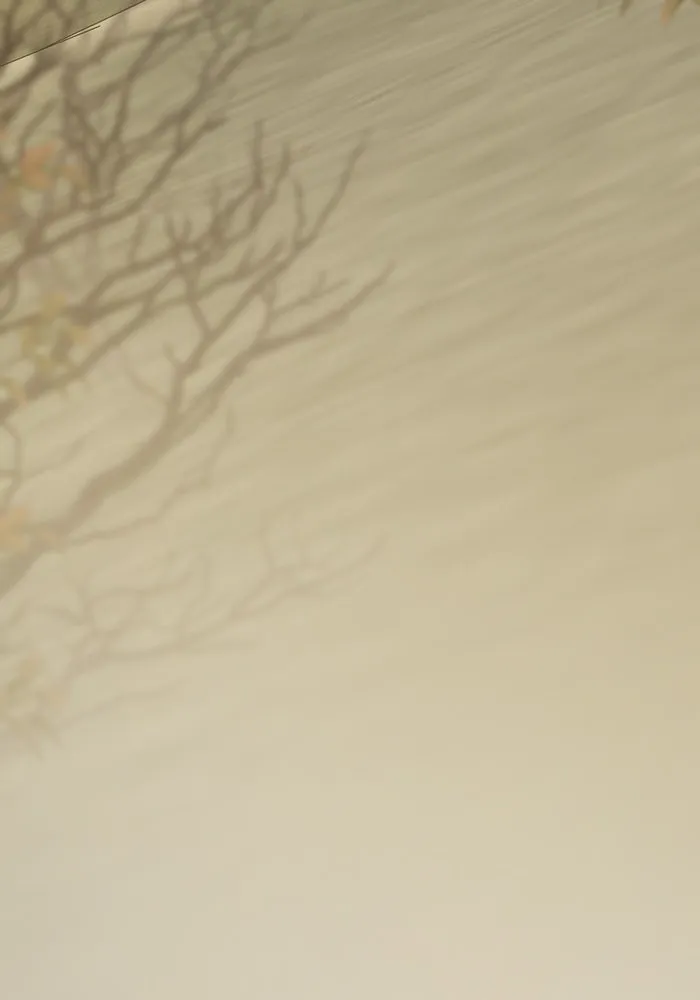 หนูน้อยทรราช ตอนที่ 38 รูปที่ 146