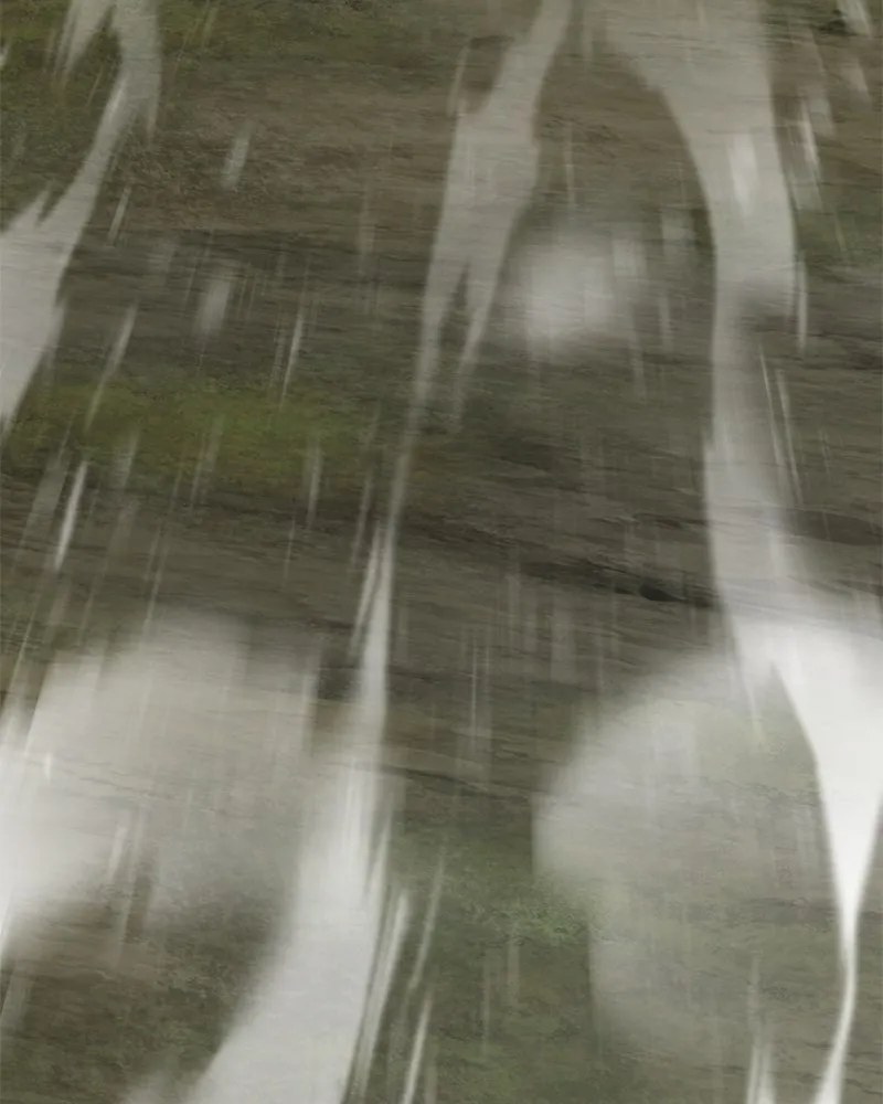 ปลูกผักพิชิตหอคอย ตอนที่ 91 รูปที่ 71