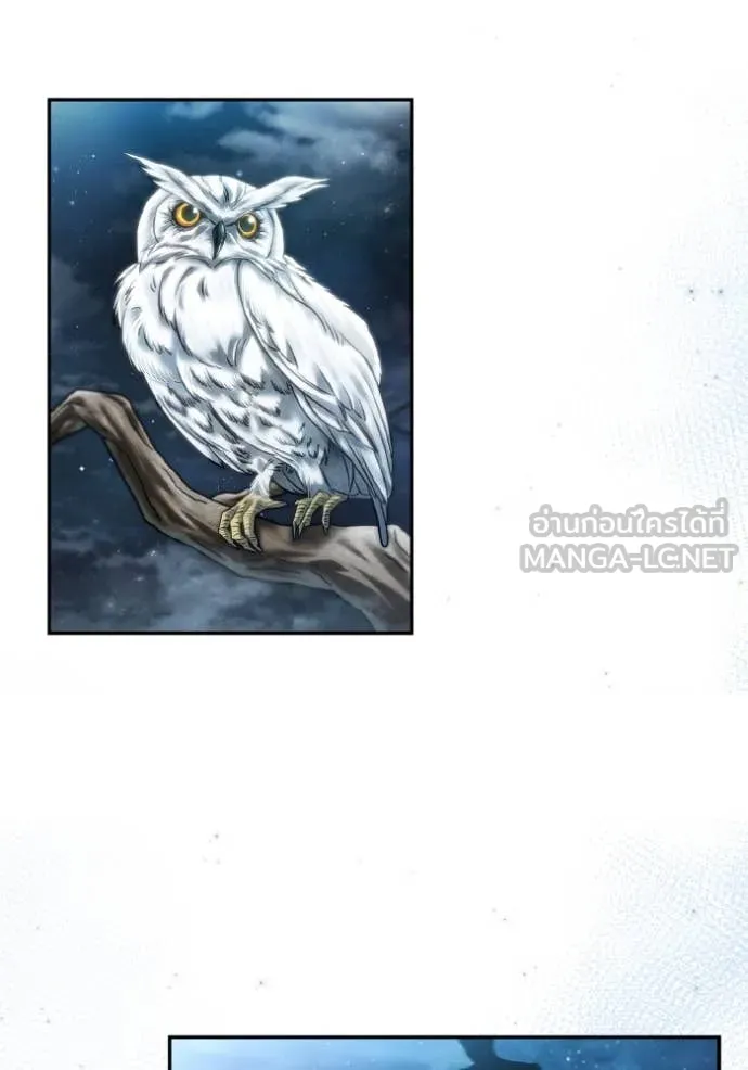 513f4bdba096ace01d7a ตอนที่ 167 รูปที่ 13