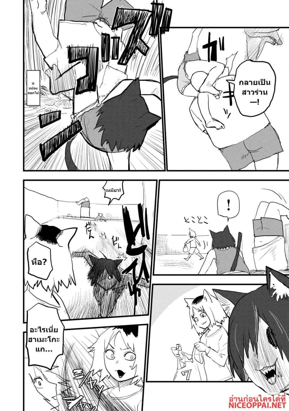 Manga-lc-com อ่านมังงะ อ่านการ์ตูน ออนไลน์ ฟรี Yani Neko ตอนที่ 1 2 3 4 5 6 7 8 9 10 11 12 13 14 ฟรี ไม่มีโฆษณา Manga-lc - อ่าน มังงะ อ่าน การ์ตูน ออนไลน์ อ่านมังงะ ฟรี