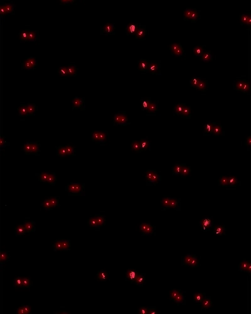 การิน BlaCX ปริศนาอาถรรพ์สีดำ ตอนที่ 22 ห้องแห่งจิตใจ (2) รูปที่ 53