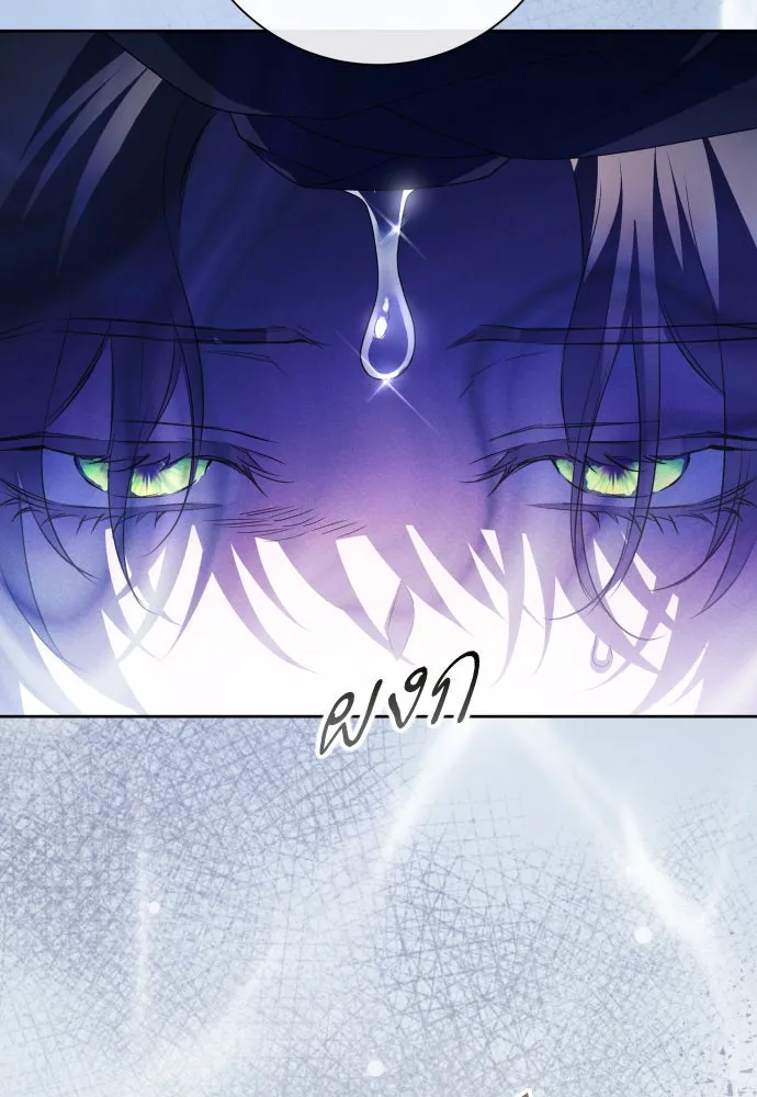 ชิงชีวิตพลิกลิขิตชะตา ตอนที่ 195. เรื่องราวภายในกล่อง(1) รูปที่ 94