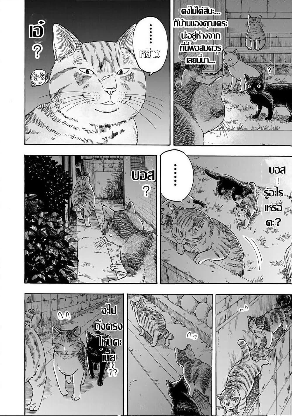 Manga-lc-com อ่านมังงะ อ่านการ์ตูน ออนไลน์ ฟรี Yuzuki Becomes A Cat ตอนที่ 1 2 3 4 5 6 7 8 9 10 11 12 13 14 ฟรี ไม่มีโฆษณา Manga-lc - อ่าน มังงะ อ่าน การ์ตูน ออนไลน์ อ่านมังงะ ฟรี