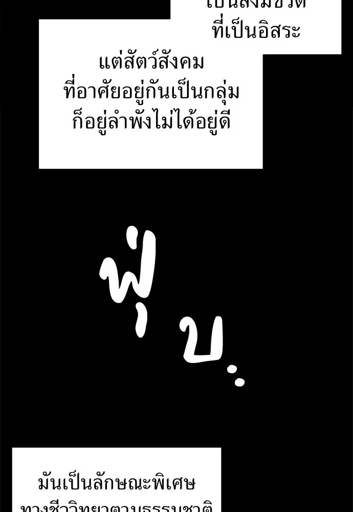 ปรารถนารักอันงดงาม ตอนที่ 51 รูปที่ 7