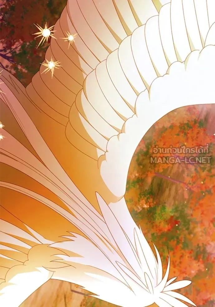 การแต่งงานครั้งใหม่ ตอนที่ 214 รูปที่ 44