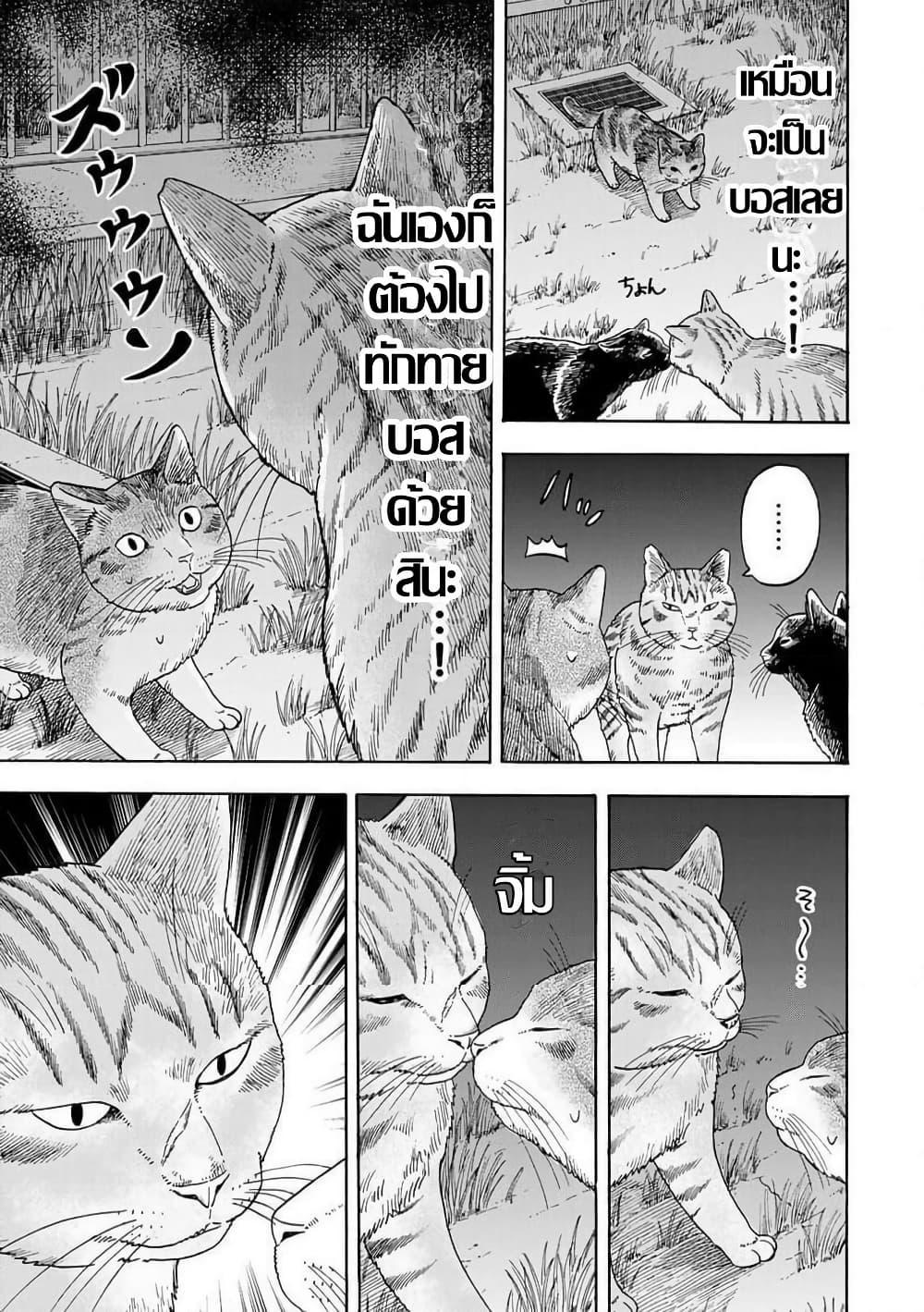 Manga-lc-com อ่านมังงะ อ่านการ์ตูน ออนไลน์ ฟรี Yuzuki Becomes A Cat ตอนที่ 1 2 3 4 5 6 7 8 9 10 11 12 13 14 ฟรี ไม่มีโฆษณา Manga-lc - อ่าน มังงะ อ่าน การ์ตูน ออนไลน์ อ่านมังงะ ฟรี