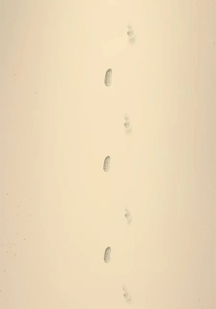 เหยื่ออย่างผมต้องรอด ตอนที่ 1 รูปที่ 56