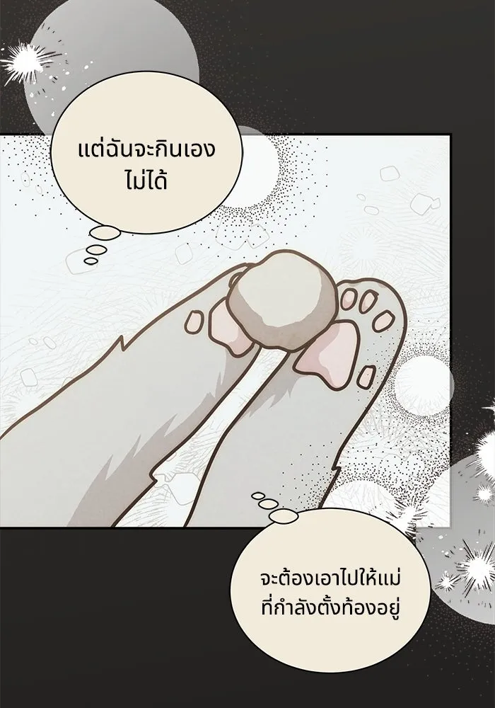 แมวน้อยในรังหมาป่า ตอนที่ 66 รูปที่ 44