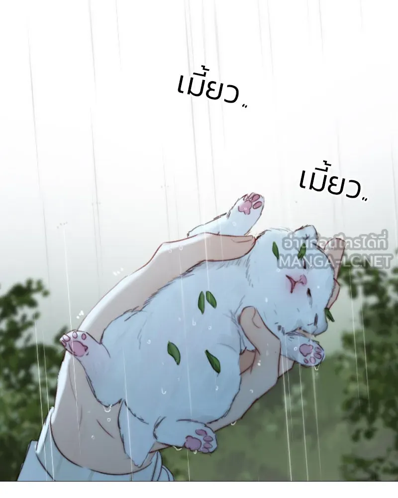 เซเรน่า ตอนที่ 41 รูปที่ 12