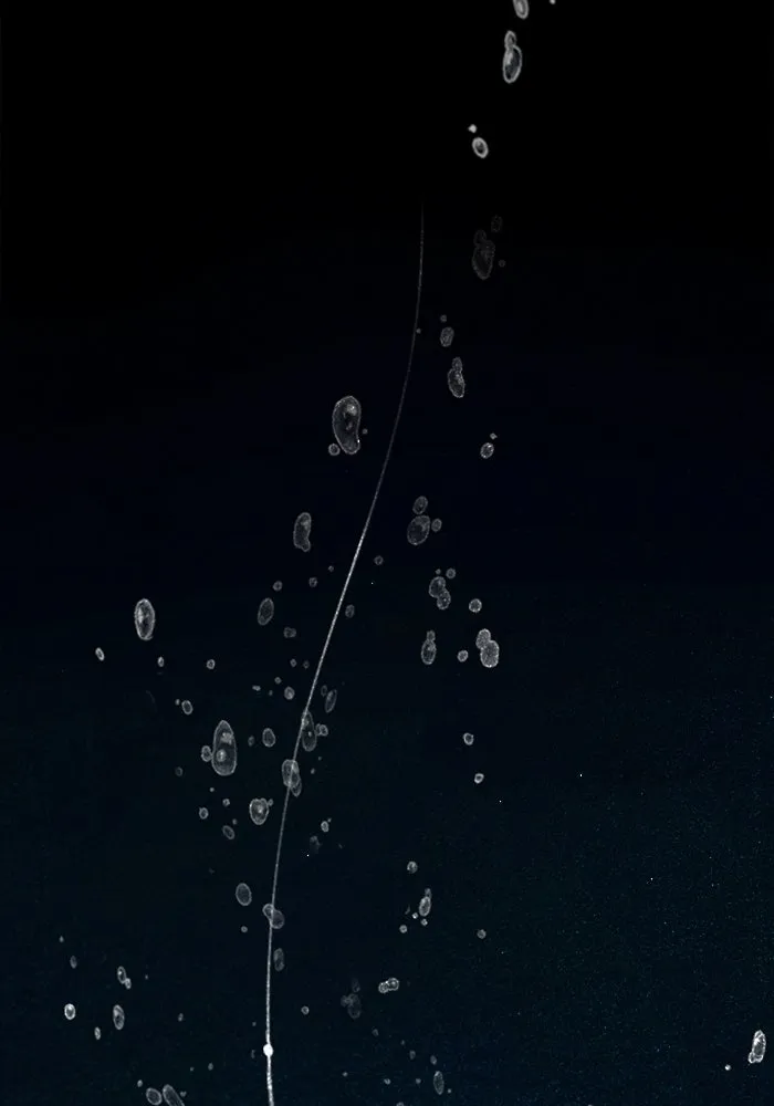 ตกศพสยอง ตอนที่ 32 (ตอนจบ) รูปที่ 217