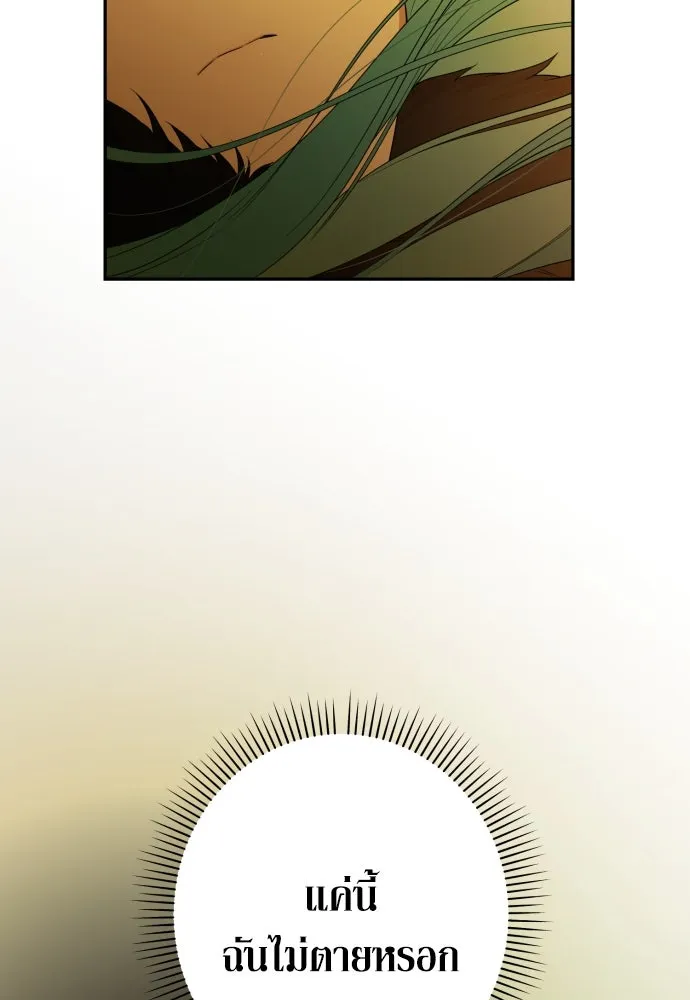 เลดี้มินต์ ตอนที่ 97 รูปที่ 146