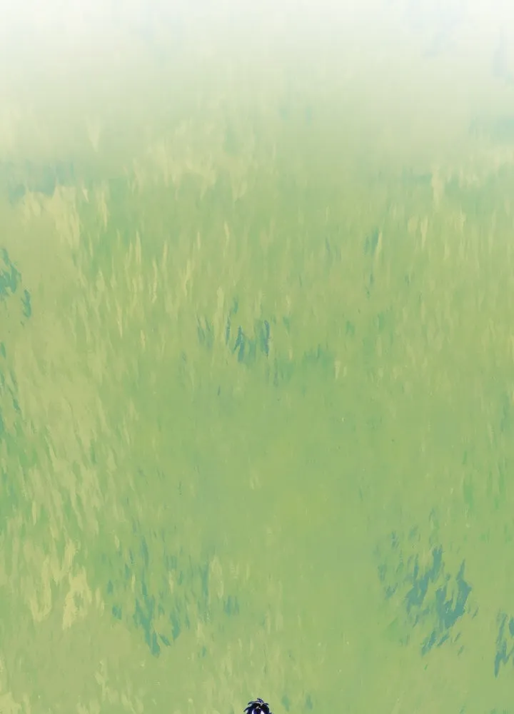 มัมหมีจ๋าหนูมาแบ๊ว ตอนที่ 6 รูปที่ 7