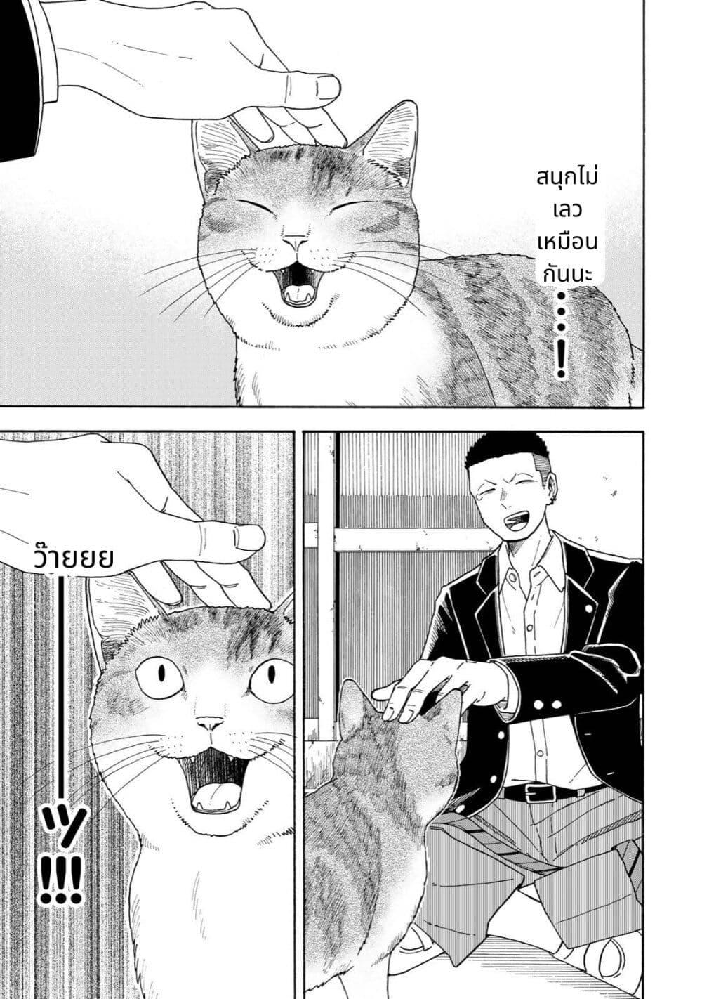 Manga-lc-com อ่านมังงะ อ่านการ์ตูน ออนไลน์ ฟรี Yuzuki Becomes A Cat ตอนที่ 1 2 3 4 5 6 7 8 9 10 11 12 13 14 ฟรี ไม่มีโฆษณา Manga-lc - อ่าน มังงะ อ่าน การ์ตูน ออนไลน์ อ่านมังงะ ฟรี