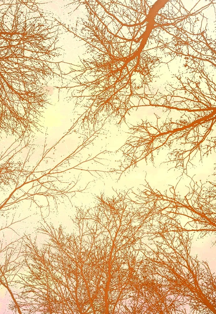 เส้นทางสู่เทพมาร ตอนที่ 2 รูปที่ 233