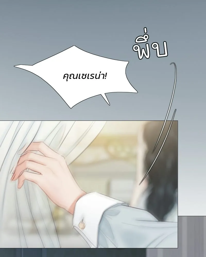 เซเรน่า ตอนที่ 132 รูปที่ 77