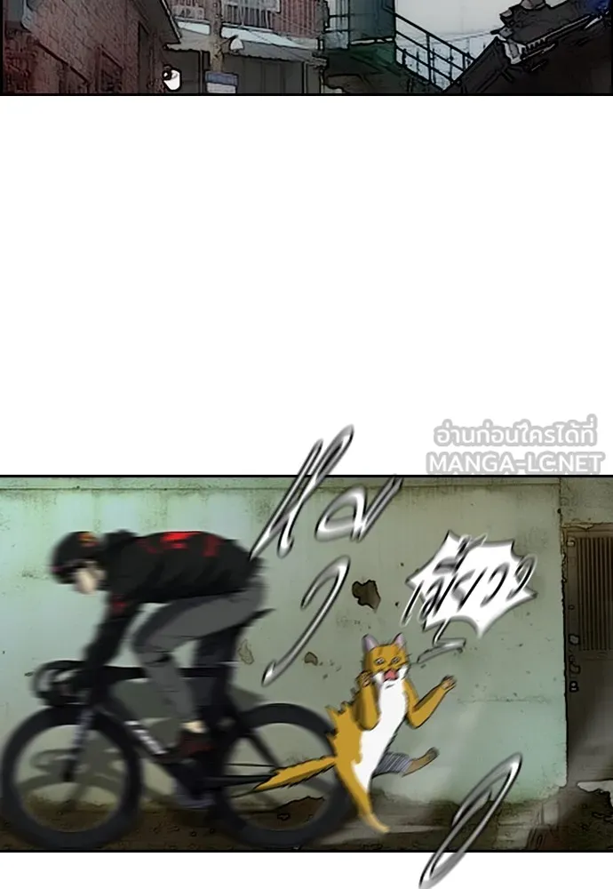 ปั่นสู้ฝันbrWind Breaker ตอนที่ 78 รูปที่ 39