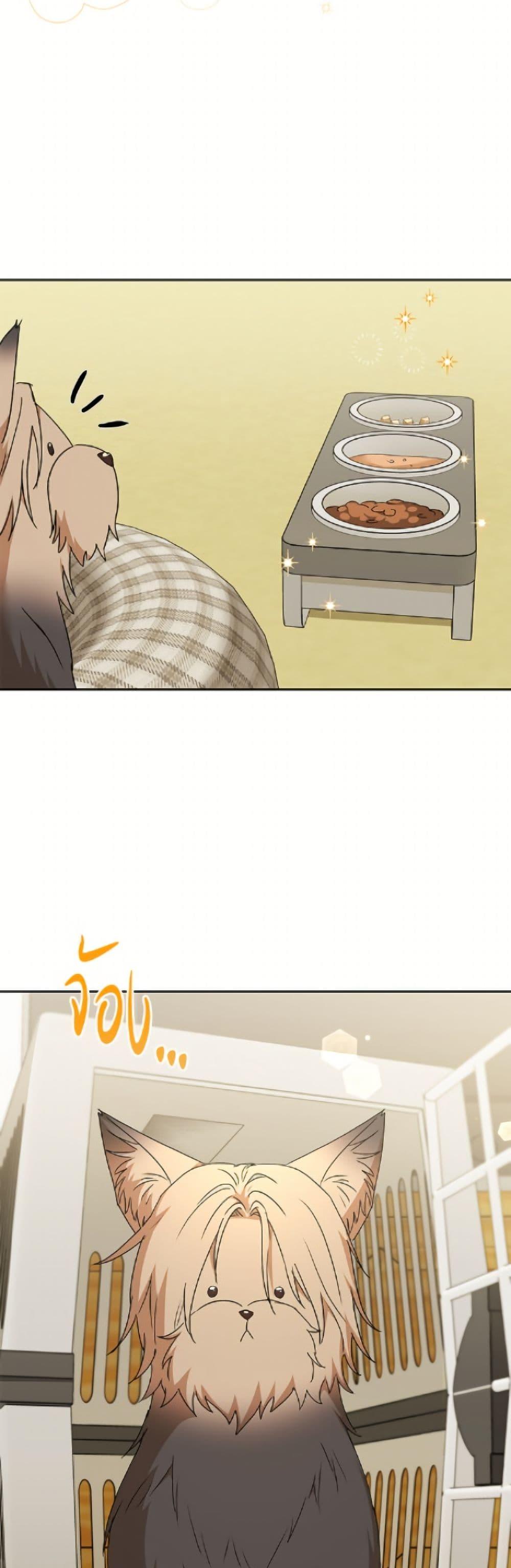 Manga-lc-com อ่านมังงะ อ่านการ์ตูน ออนไลน์ ฟรี Hello! Veterinarian! ตอนที่ 1 2 3 4 5 6 7 8 9 10 11 12 13 14 ฟรี ไม่มีโฆษณา Manga-lc - อ่าน มังงะ อ่าน การ์ตูน ออนไลน์ อ่านมังงะ ฟรี