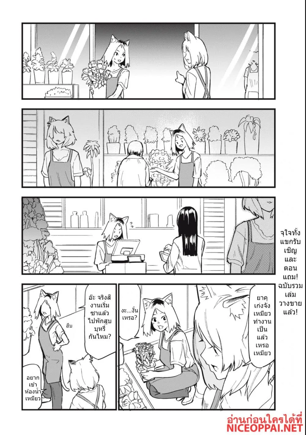 Manga-lc-com อ่านมังงะ อ่านการ์ตูน ออนไลน์ ฟรี Yani Neko ตอนที่ 1 2 3 4 5 6 7 8 9 10 11 12 13 14 ฟรี ไม่มีโฆษณา Manga-lc - อ่าน มังงะ อ่าน การ์ตูน ออนไลน์ อ่านมังงะ ฟรี