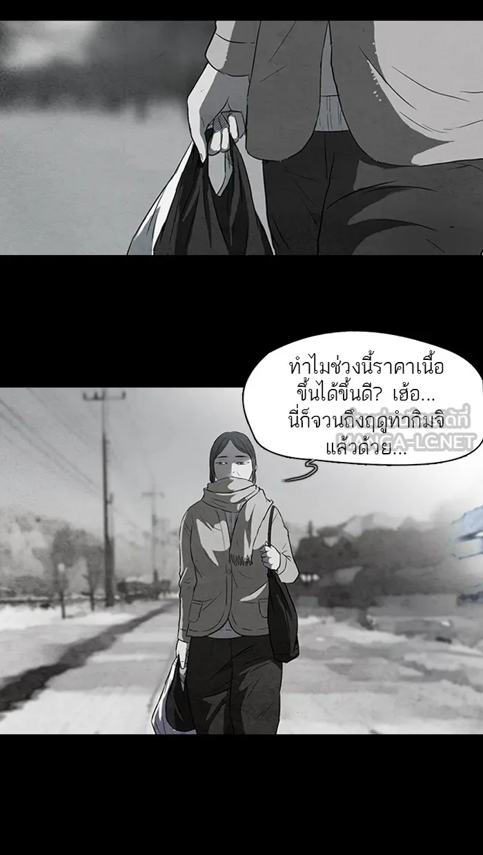 ปั่นสู้ฝันbrWind Breaker ตอนที่ 53 รูปที่ 36