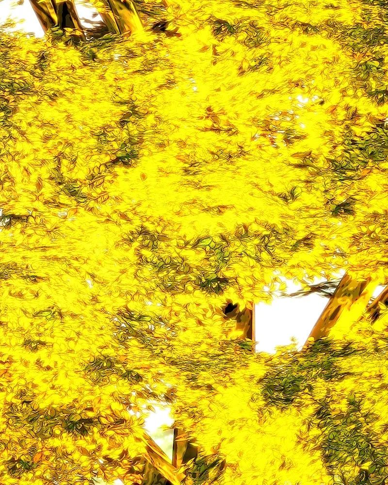 เจ้าหญิงคลั่งแห่งวังหลวง ตอนที่ 86 รูปที่ 22