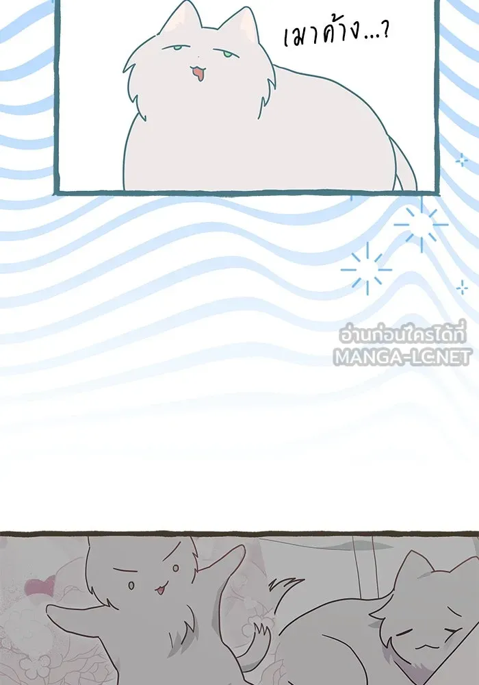 แมวน้อยในรังหมาป่า ตอนที่ 25 รูปที่ 63