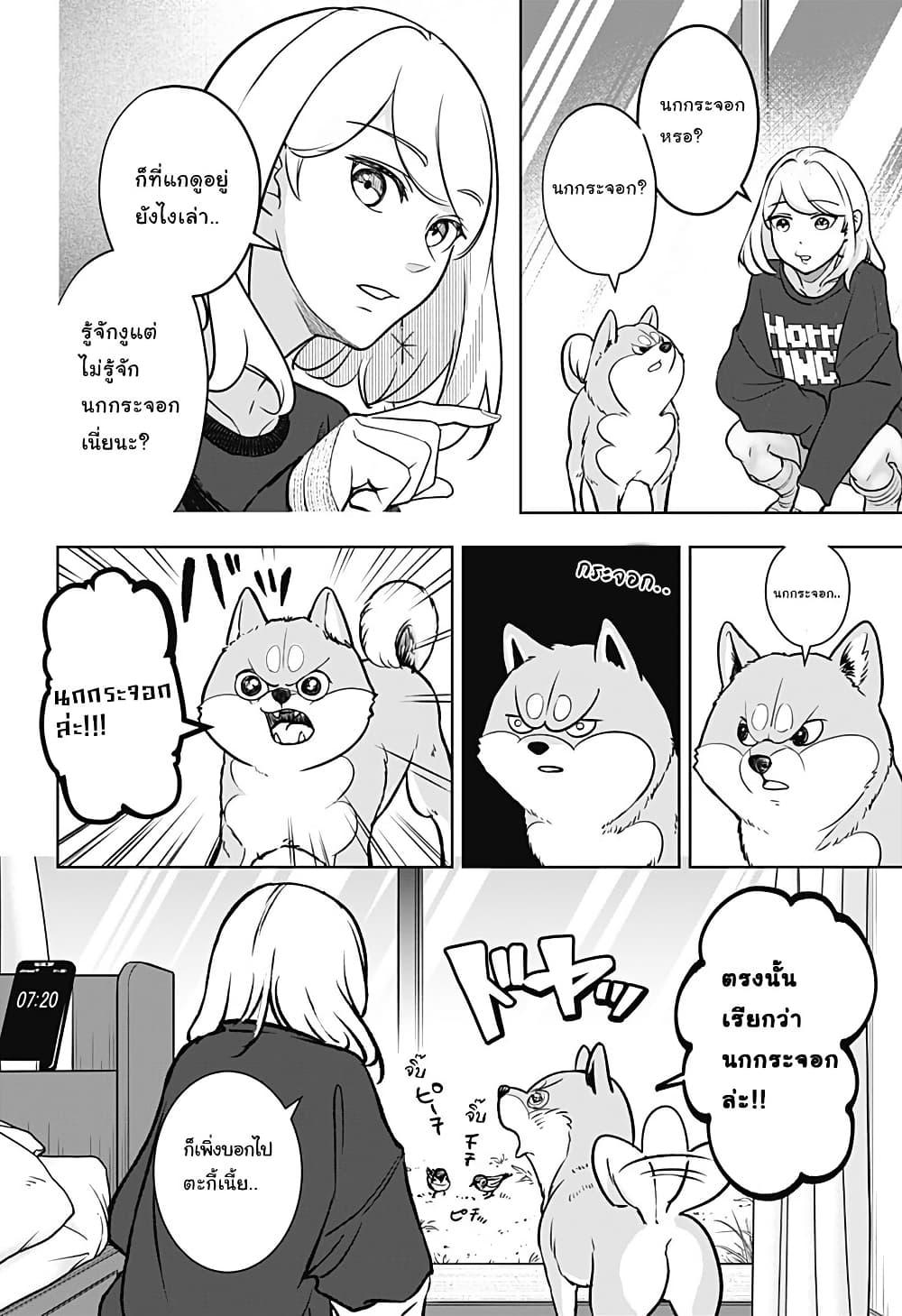 Manga-lc-com อ่านมังงะ อ่านการ์ตูน ออนไลน์ ฟรี Shiba Inu Rooms ตอนที่ 1 2 3 4 5 6 7 8 9 10 11 12 13 14 ฟรี ไม่มีโฆษณา Manga-lc - อ่าน มังงะ อ่าน การ์ตูน ออนไลน์ อ่านมังงะ ฟรี