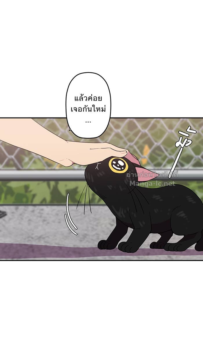 Doujin-Lc- อ่าน โดจิน มังฮวา เกาหลี ญี่ปุ่น จีน แปลไทย Take My Money รักนี้...มีเปย์ ตอนที่ 1 2 3 4 5 6 7 8 9 10 11 12 13 14 ฟรี ไม่มีโฆษณา อ่าน โดจิน Manhwa เกาหลี ญี่ปุ่น จีน เรามีครบ คัดมาให้เน้นๆ โดจิน 18+ รับประกันความฟินโดย Doujin Lc