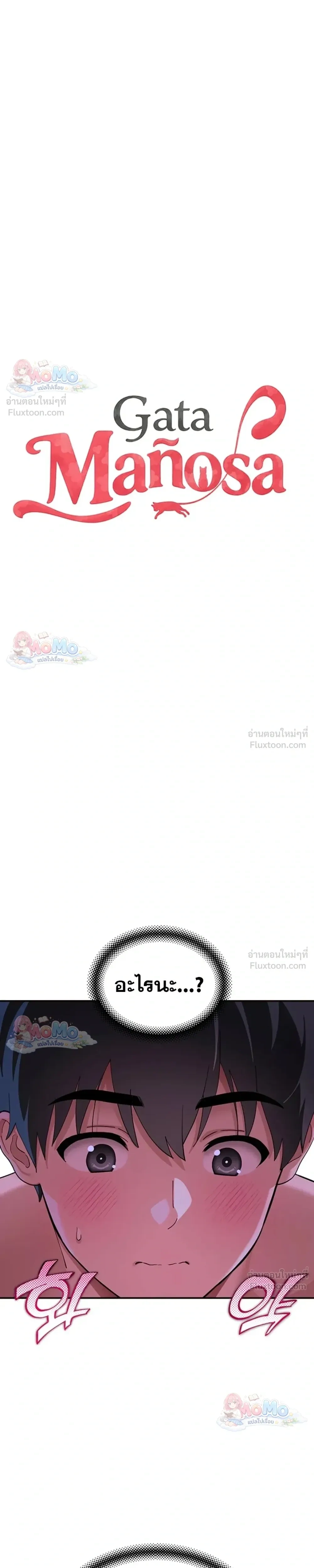 Doujin-Lc- อ่าน โดจิน มังฮวา เกาหลี ญี่ปุ่น จีน แปลไทย A Quiet Cat ตอนที่ 1 2 3 4 5 6 7 8 9 10 11 12 13 14 ฟรี ไม่มีโฆษณา อ่าน โดจิน Manhwa เกาหลี ญี่ปุ่น จีน เรามีครบ คัดมาให้เน้นๆ โดจิน 18+ รับประกันความฟินโดย  Doujin Lc