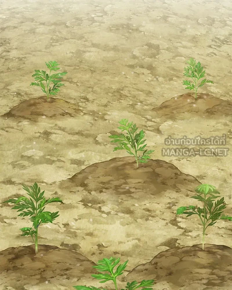 ปลูกผักพิชิตหอคอย ตอนที่ 13 รูปที่ 3