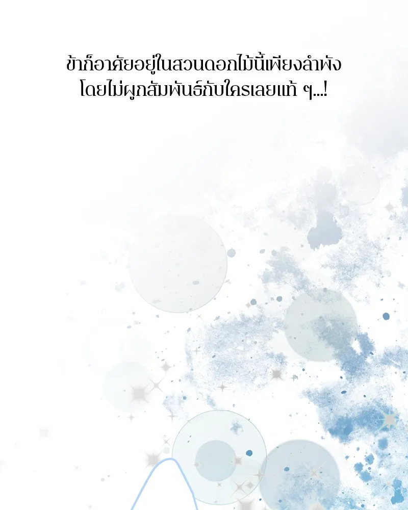 ตำนานเทพธิดาตกสวรรค์ ตอนที่ 135 รูปที่ 16