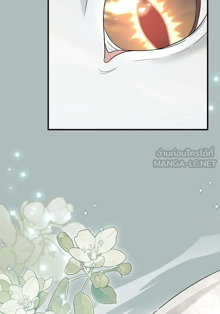 ชีวิตใหม่ในตระกูลมือสังหาร ตอนที่ 118 รูปที่ 6