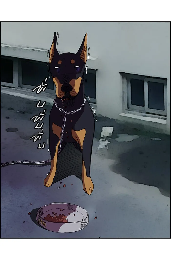 ปั่นสู้ฝันbrWind Breaker ตอนที่ 61 รูปที่ 37