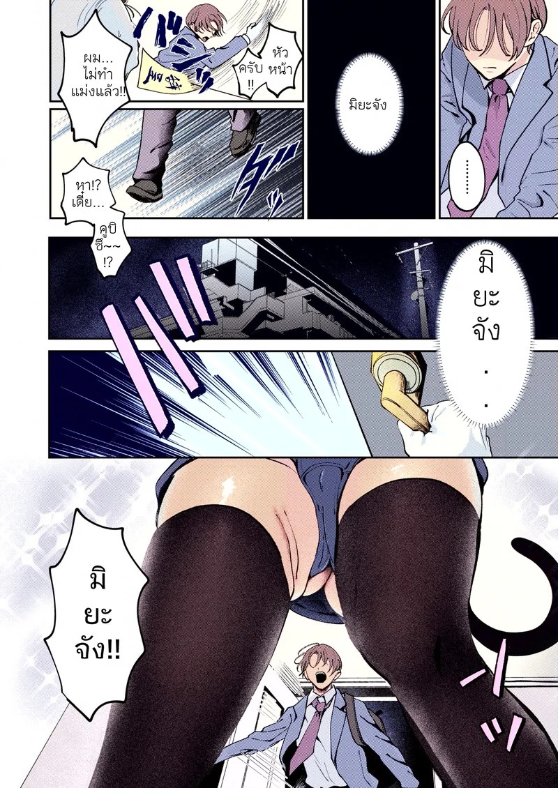 Doujin-Lc- อ่าน โดจิน มังฮวา เกาหลี ญี่ปุ่น จีน แปลไทย หนูเหงาจังเลยเนี้ยว  [ROMUPI] 寂しかったにゃん (COMIC 失楽天 2026年2月号) ตอนที่ 1 ฟรี ไม่มีโฆษณา อ่าน โดจิน Manhwa เกาหลี ญี่ปุ่น จีน เรามีครบ คัดมาให้เน้นๆ โดจิน 18+ รับประกันความฟินโดย Doujin Lc