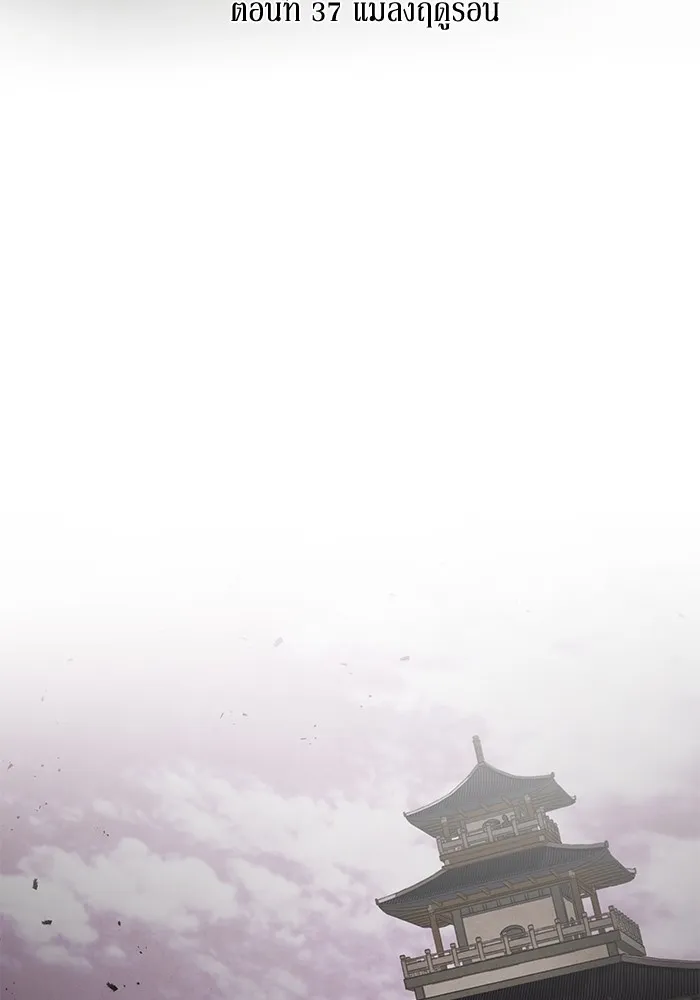 อาซา ตอนที่ 37 แมลงฤดูร้อน รูปที่ 20