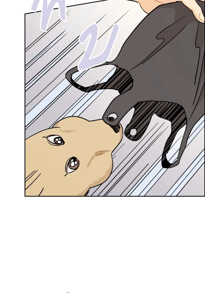 จริง ๆ แล้ว โอบารัมน่ะ… ตอนที่ 23 รูปที่ 65