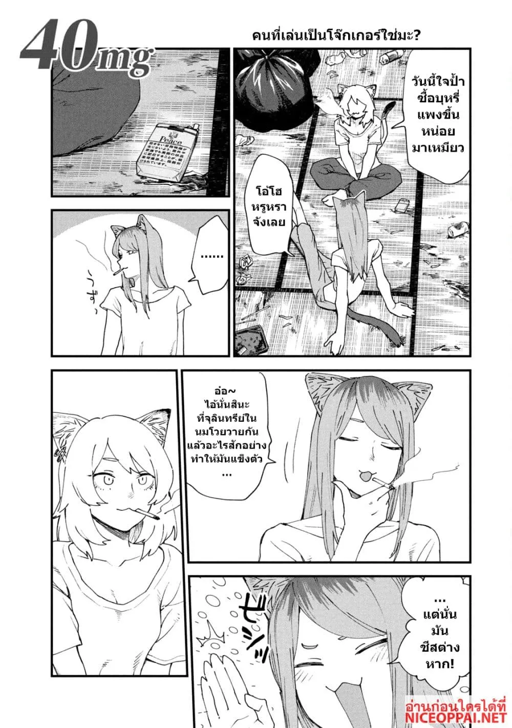Manga-lc-com อ่านมังงะ อ่านการ์ตูน ออนไลน์ ฟรี Yani Neko ตอนที่ 1 2 3 4 5 6 7 8 9 10 11 12 13 14 ฟรี ไม่มีโฆษณา Manga-lc - อ่าน มังงะ อ่าน การ์ตูน ออนไลน์ อ่านมังงะ ฟรี