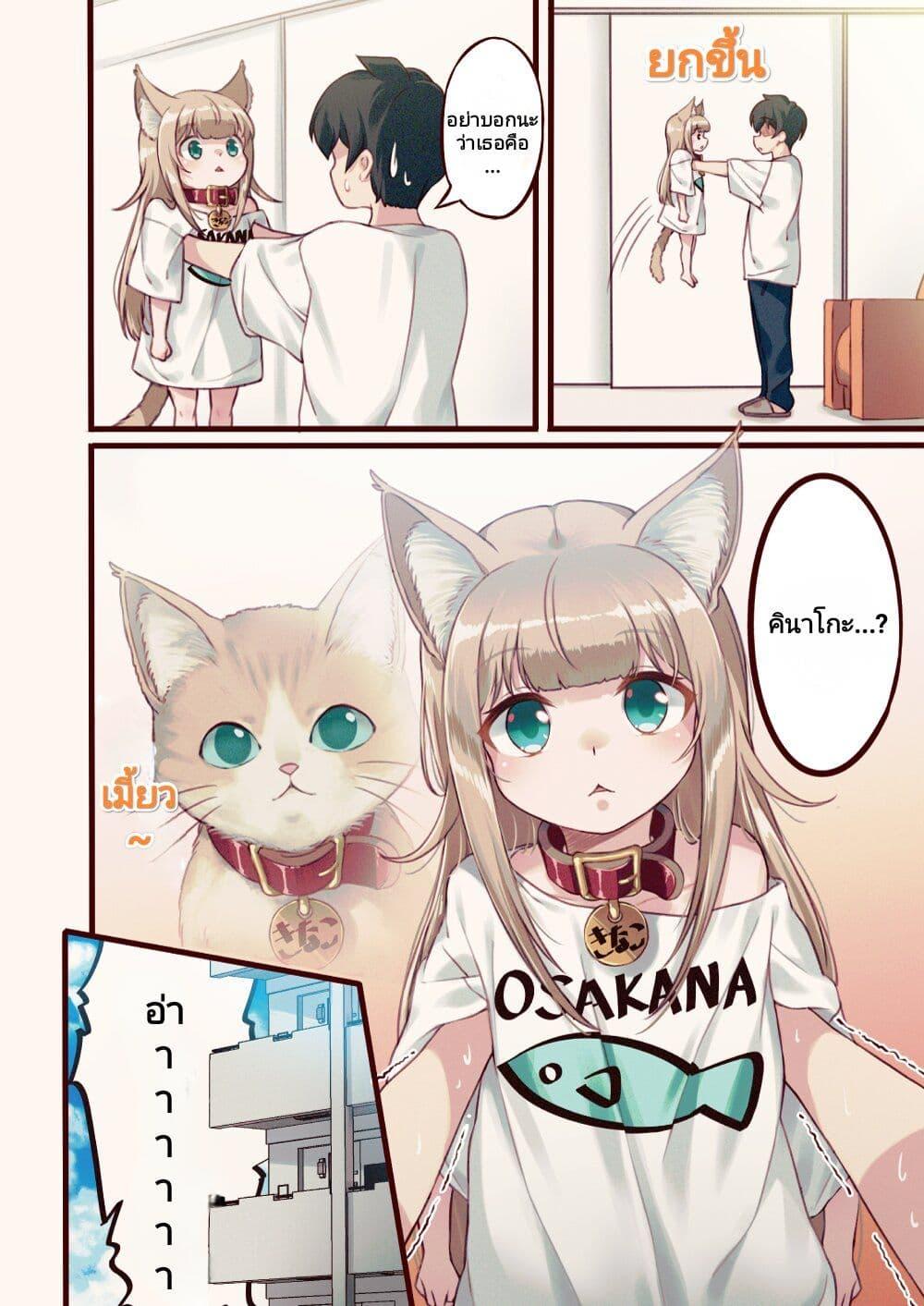 Manga-lc-com อ่านมังงะ อ่านการ์ตูน ออนไลน์ ฟรี My Cat Is a Kawaii Girl ตอนที่ 1 2 3 4 5 6 7 8 9 10 11 12 13 14 ฟรี ไม่มีโฆษณา Manga-lc - อ่าน มังงะ อ่าน การ์ตูน ออนไลน์ อ่านมังงะ ฟรี