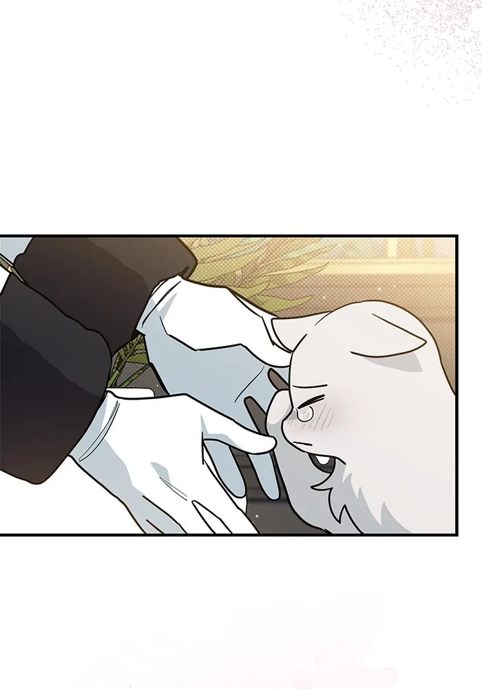 แมวน้อยในรังหมาป่า ตอนที่ 42 รูปที่ 25