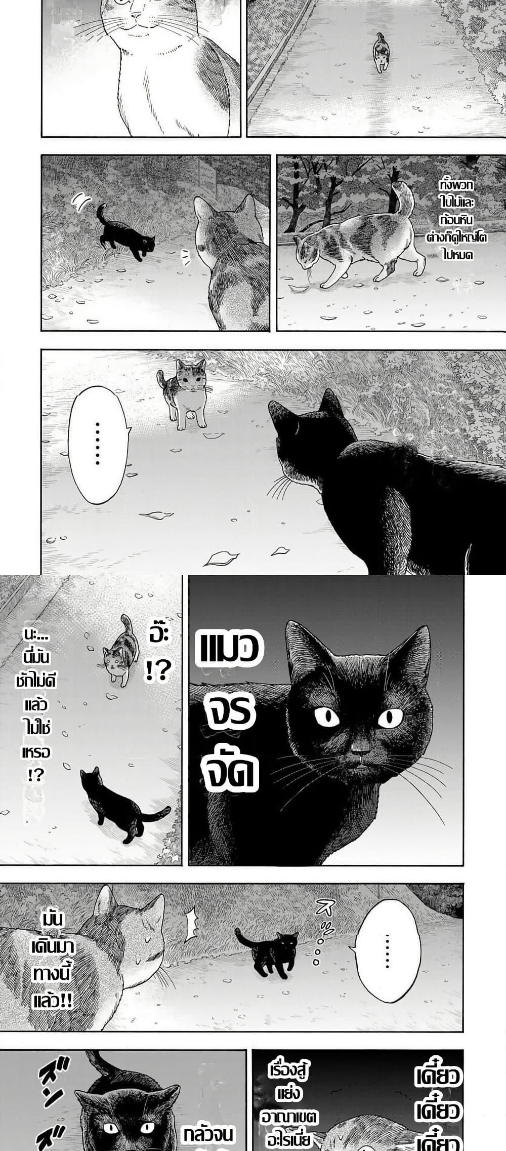 Manga-lc-com อ่านมังงะ อ่านการ์ตูน ออนไลน์ ฟรี Yuzuki Becomes A Cat ตอนที่ 1 2 3 4 5 6 7 8 9 10 11 12 13 14 ฟรี ไม่มีโฆษณา Manga-lc - อ่าน มังงะ อ่าน การ์ตูน ออนไลน์ อ่านมังงะ ฟรี