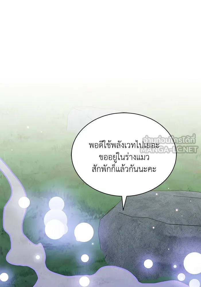 แมวน้อยในรังหมาป่า ตอนที่ 72 รูปที่ 27