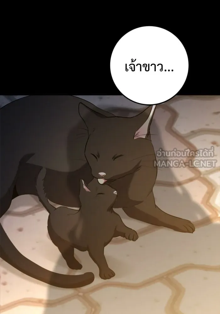 ราชินีนักบู๊ ตอนที่ 95 รูปที่ 12