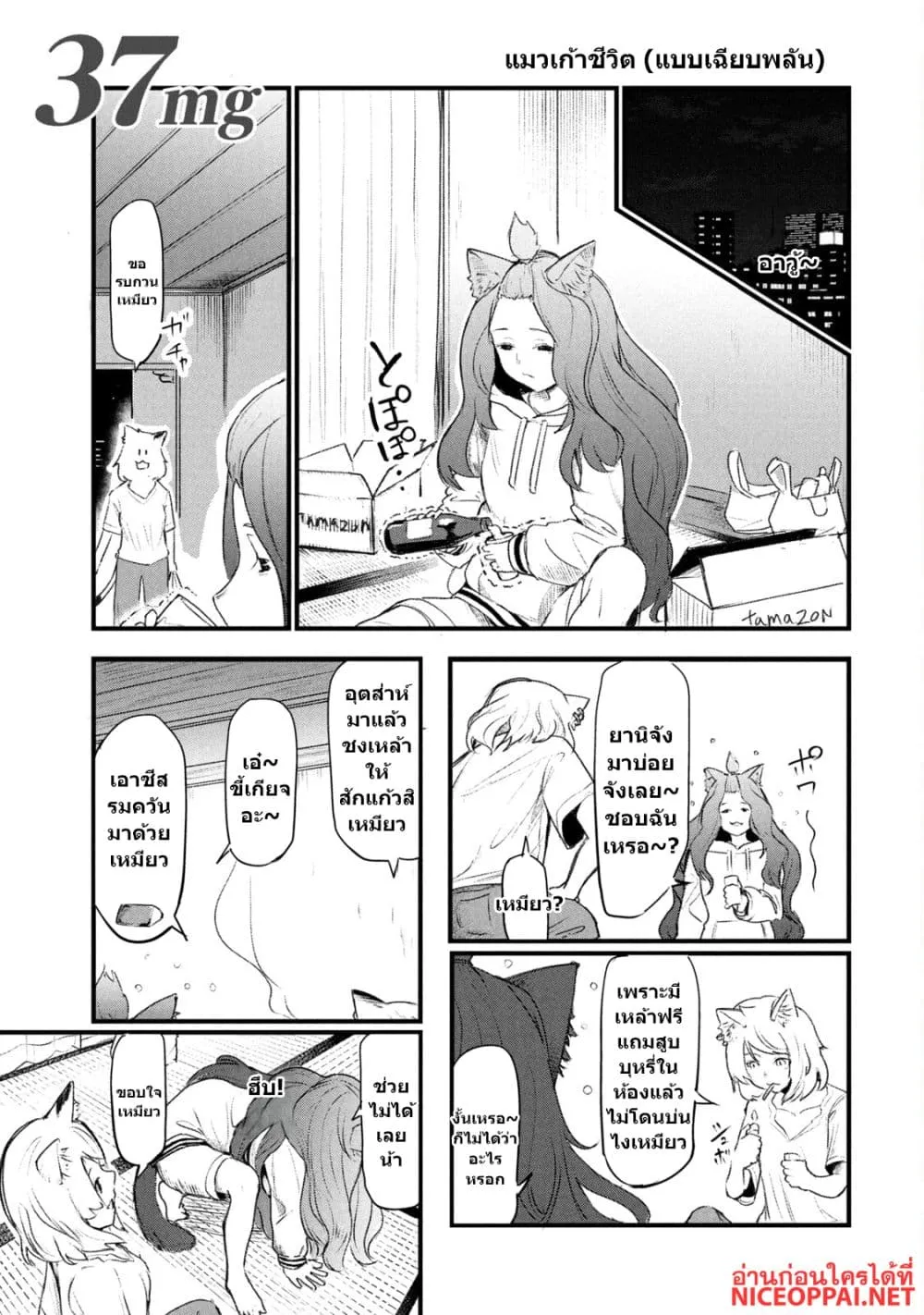 Manga-lc-com อ่านมังงะ อ่านการ์ตูน ออนไลน์ ฟรี Yani Neko ตอนที่ 1 2 3 4 5 6 7 8 9 10 11 12 13 14 ฟรี ไม่มีโฆษณา Manga-lc - อ่าน มังงะ อ่าน การ์ตูน ออนไลน์ อ่านมังงะ ฟรี